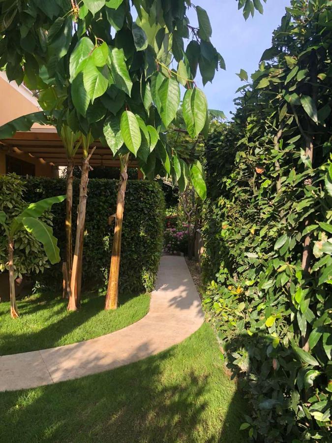 Villa Dolores Rovinj Dış mekan fotoğraf